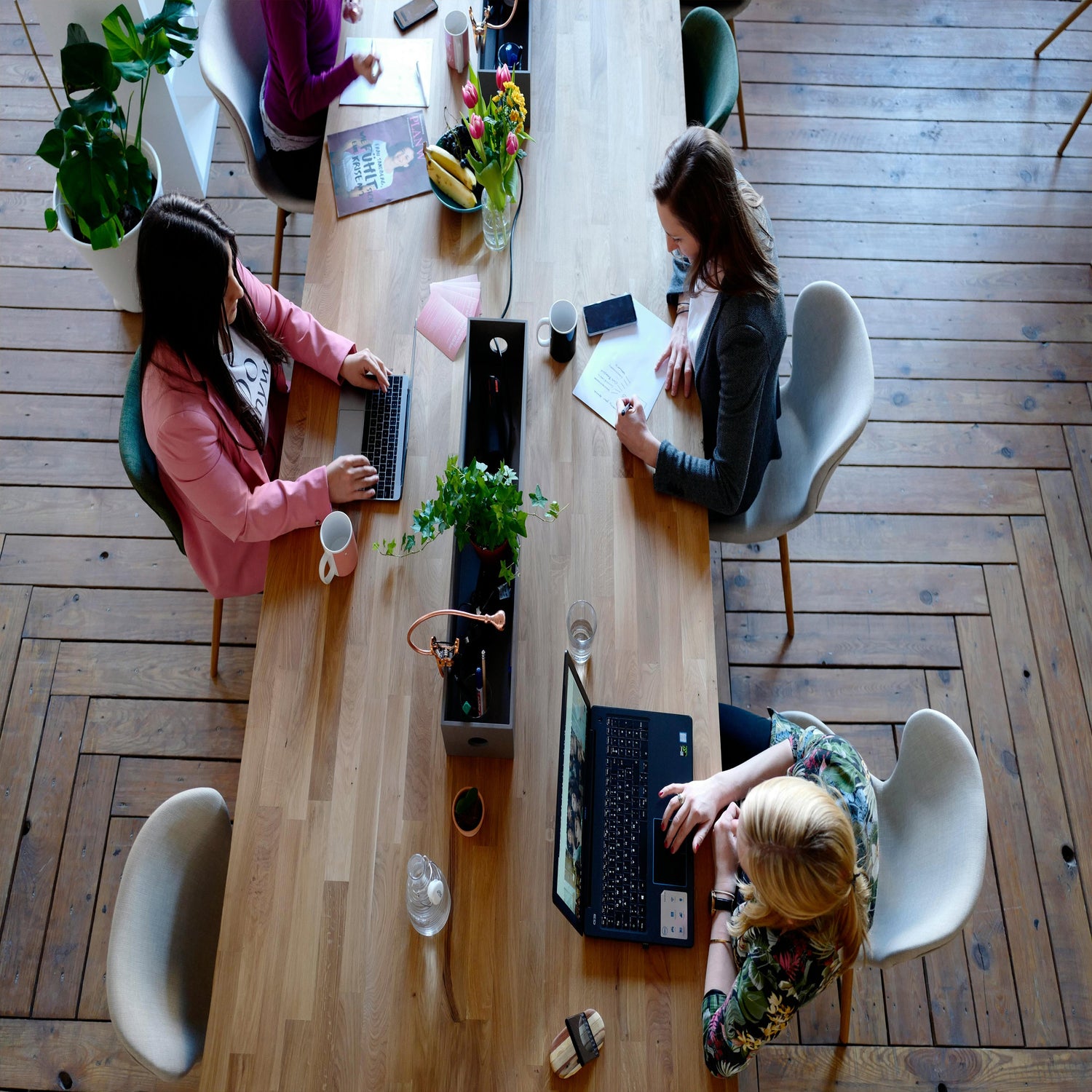 🖥️ Oficina y Productividad